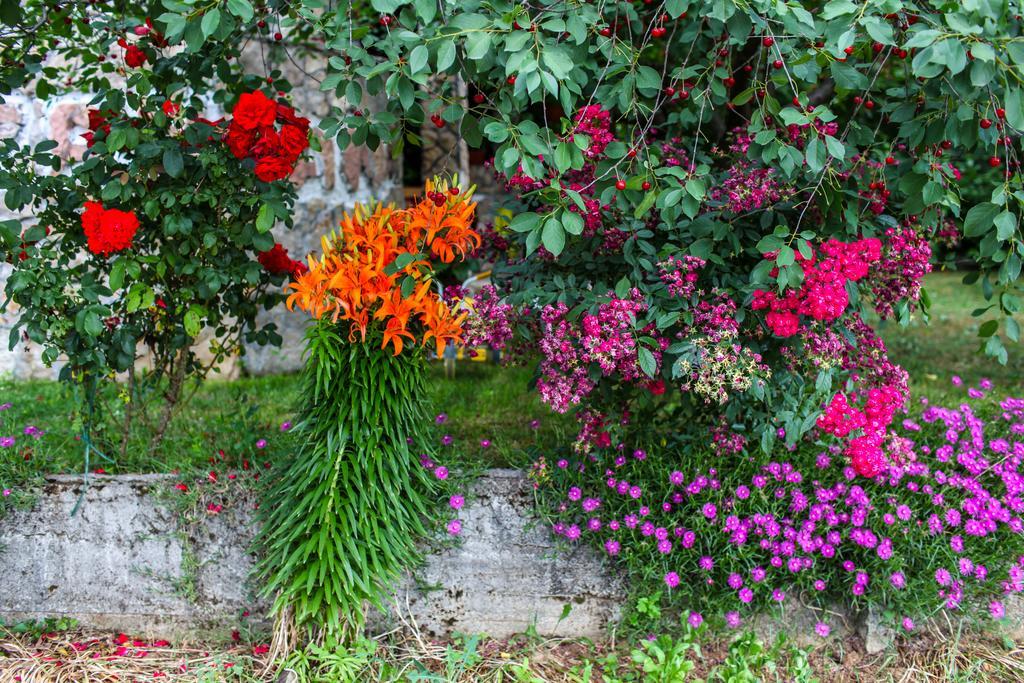 Ana Stjepan Nikolic - Pilgrim'S 2Nd Home Medjugorje Luaran gambar