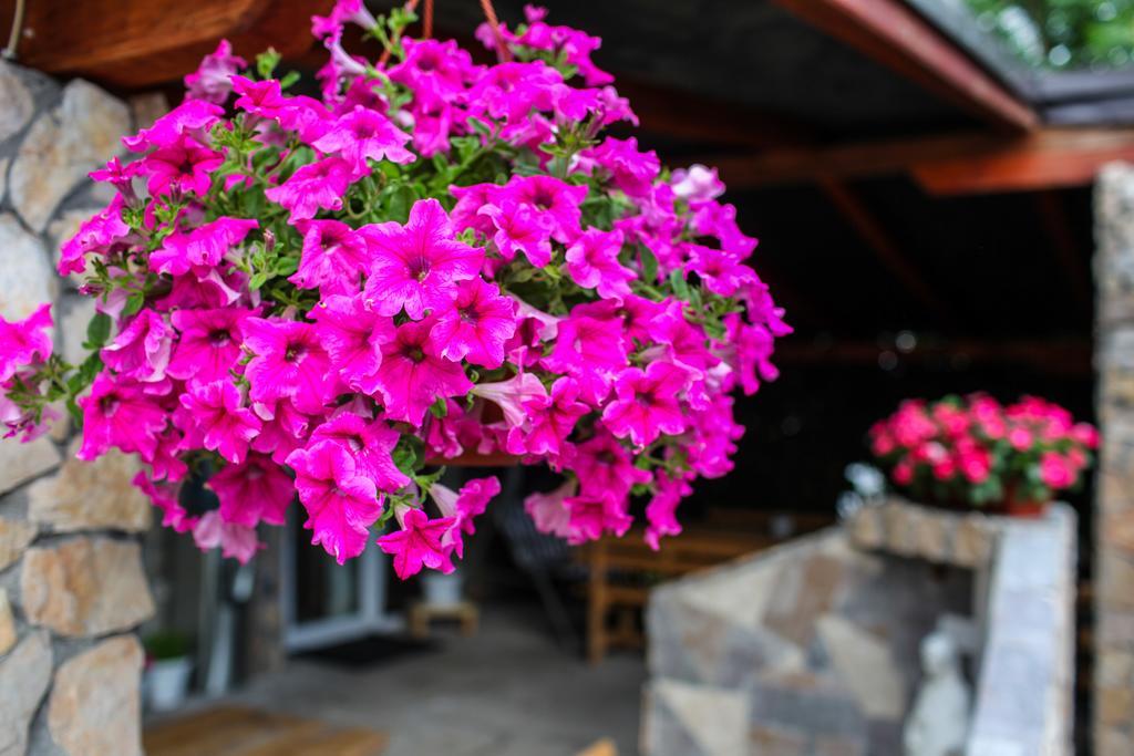 Ana Stjepan Nikolic - Pilgrim'S 2Nd Home Medjugorje Luaran gambar