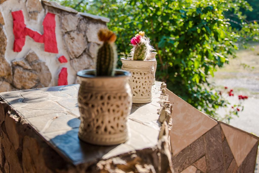 Ana Stjepan Nikolic - Pilgrim'S 2Nd Home Medjugorje Luaran gambar